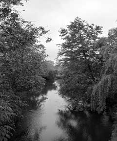 images/images0010.jpg