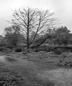 images/images0012.jpg