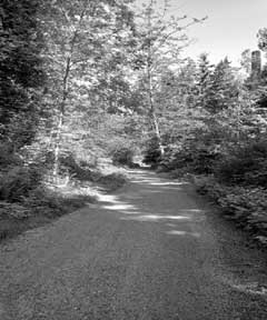 images/images0013.jpg