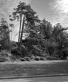 images/images0016.jpg