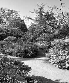images/images0017.jpg
